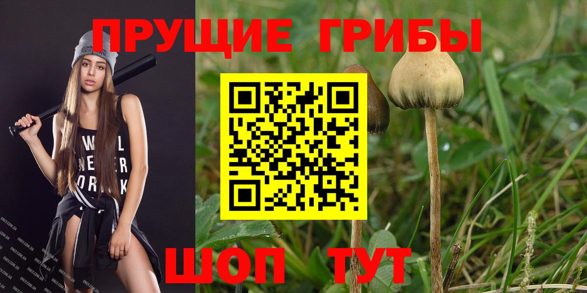 Псилоцибиновые грибы прущие грибы Лысьва